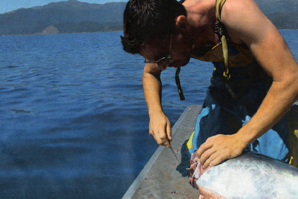 Auberge du pêcheur : journée de peche avec Damien Muller