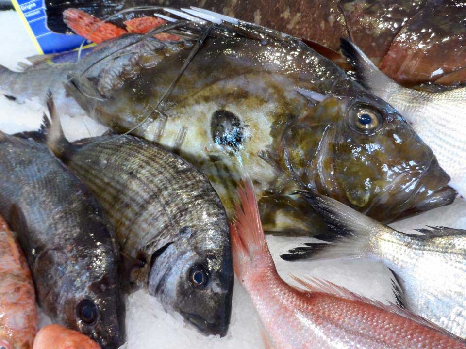 Auberge du pêcheur Saint Florent : la poissonnerie Saint Christophe