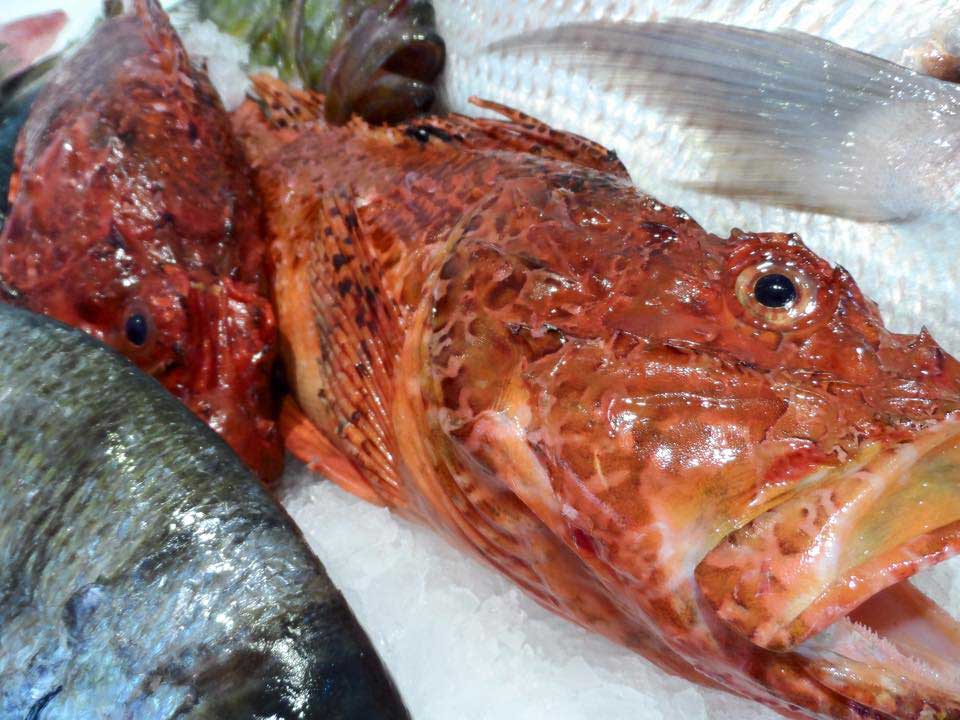 Auberge du pêcheur Saint Florent : la poissonnerie Saint Christophe