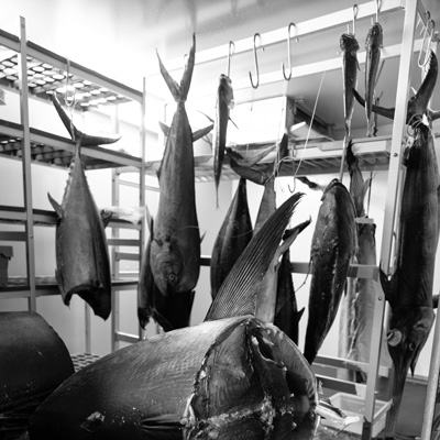 Auberge du Pecheur Saint Florent - Poissonnerie Saint Christophe
